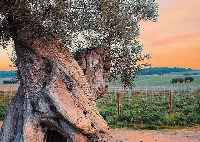 Mansarda Romantica 